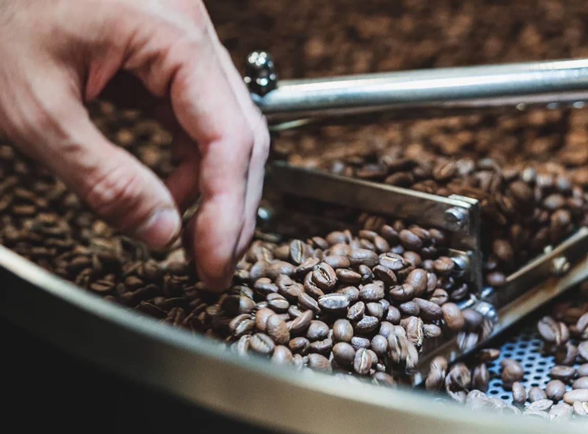 Spoon dropping coffee beans into a bag