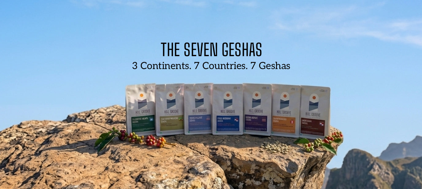 Limited Edition Geshas