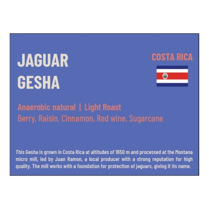 Jaguar Gesha (100gm)