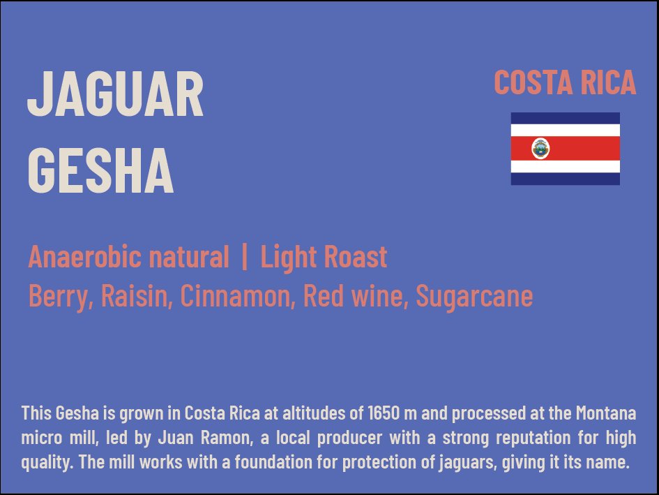 Jaguar Gesha