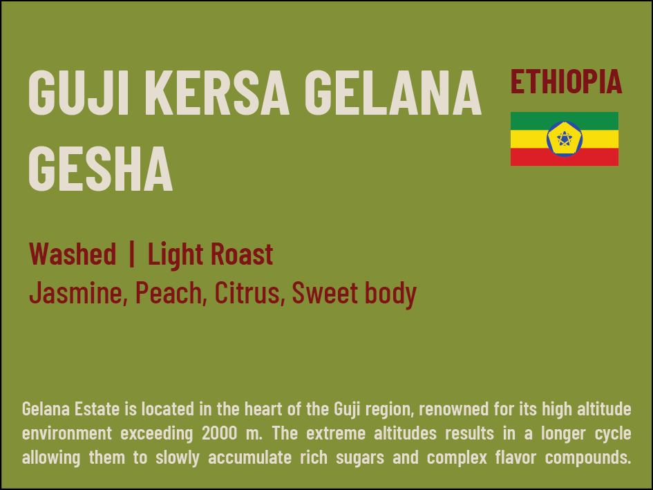 Guji Kersa Gelana Gesha