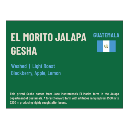 El Morito Jalapa Gesha (100gm)