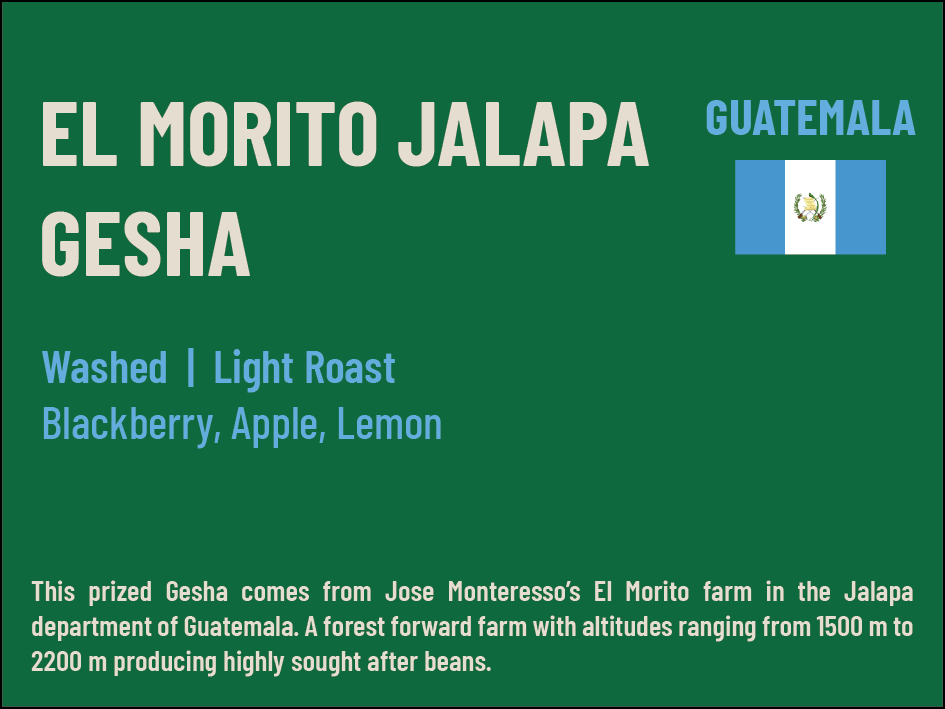 El Morito Jalapa Gesha