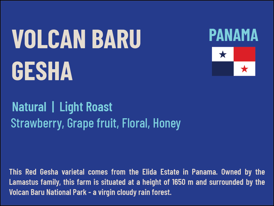 Volcan Baru Gesha